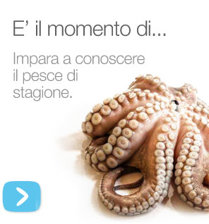 Il pesce di stagione