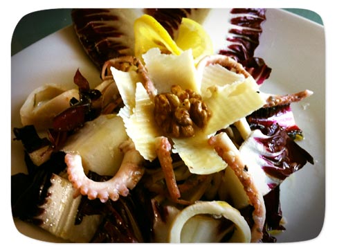 Insalatina radicchio e polpo