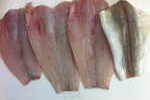 Merluzzo di peschereccio da 400g a 1kg spinato